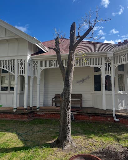 Armitage Tree Services — Customer photo