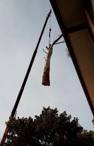 Hills District Stump Grinding Tree Removal Services — Customer photo