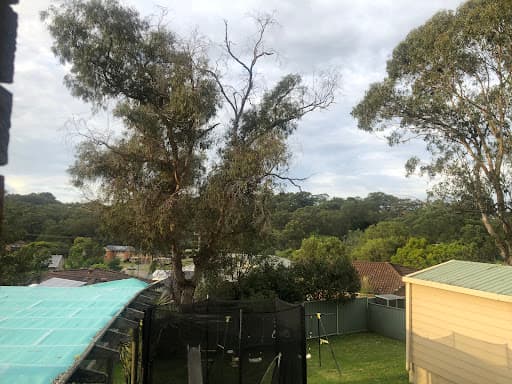Clearview Tree Service — Customer photo