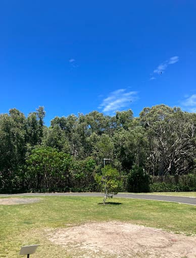 Southern Tree Care — Customer photo