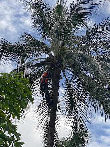 Tree Shepherd FNQ — Customer photo