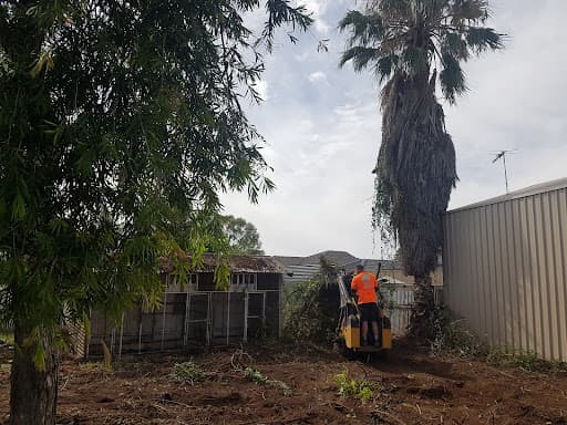 All Purpose Tree Services — Customer photo