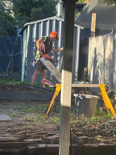 Southside Stump Grinding - Stump Removal Wollongong — Customer photo
