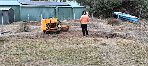 Affordable Stump & Grind — Customer photo