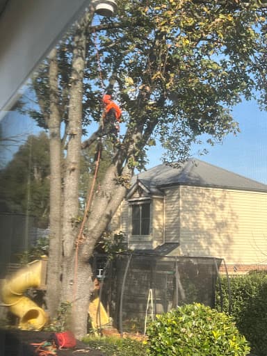 Max Tree Services — Customer photo