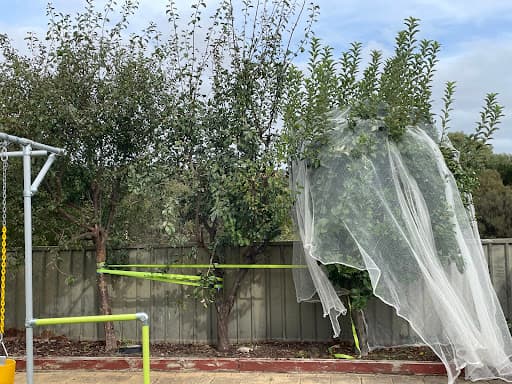 SA Tree and Garden Services — Customer photo