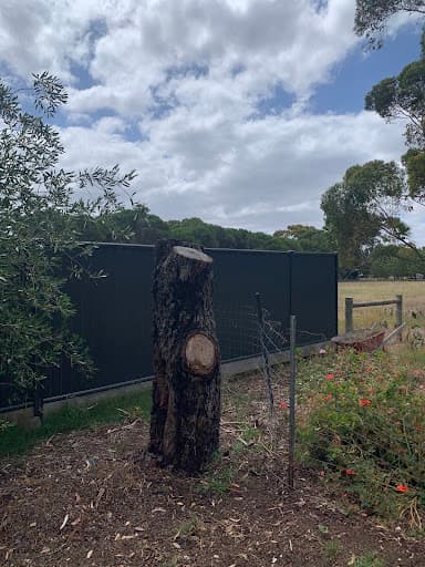 Armitage Tree Services — Customer photo