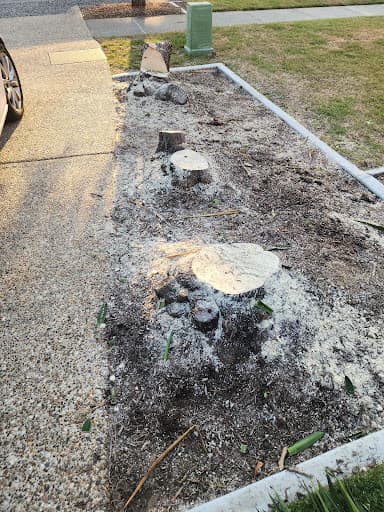 Speedy Stump Grinding — Customer photo
