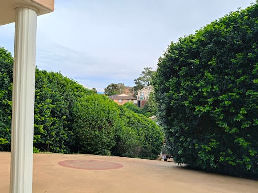 Dingo's Tree Services — Customer photo
