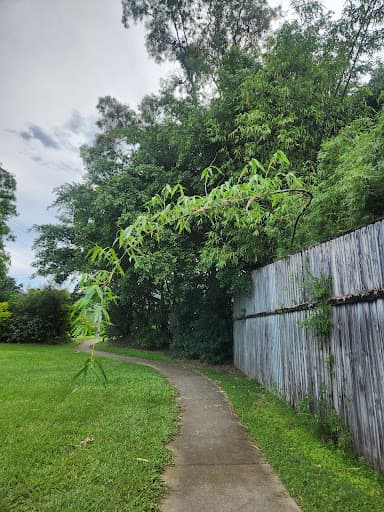 Arborcare Tree Services NQ — Customer photo
