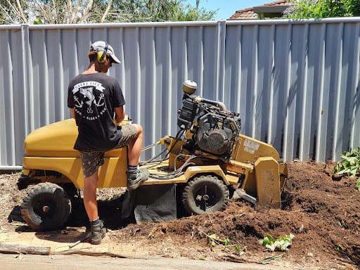 Woodys Tree & Stump Removal — Customer photo