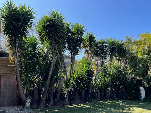 At Your Tree Service — Customer photo