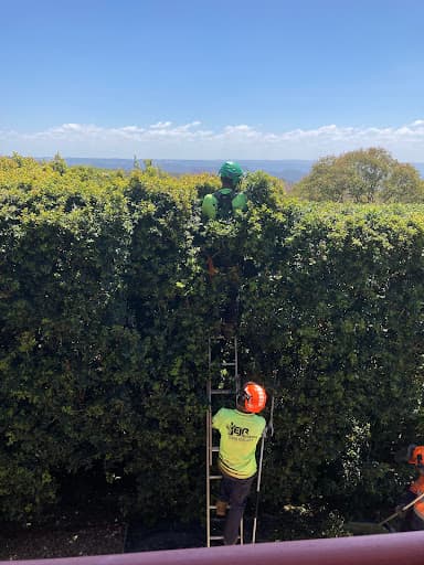 EJR Tree Services — Customer photo