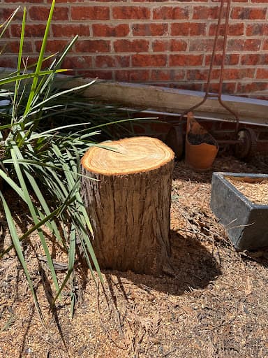 Jim's Trees & Stump Removal — Customer photo