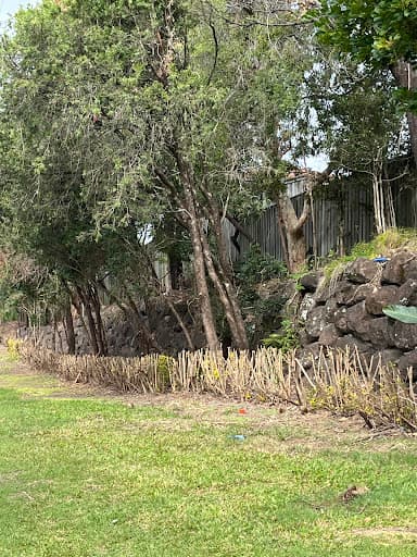 Tree Essence | Gold Coast Arborists — Customer photo