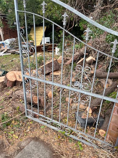 Sydney tree services — Customer photo