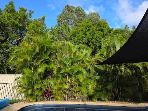 Tree Care Specialists — Customer photo