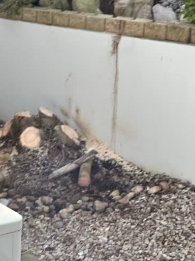 Mudjimba Tree Services — Customer photo
