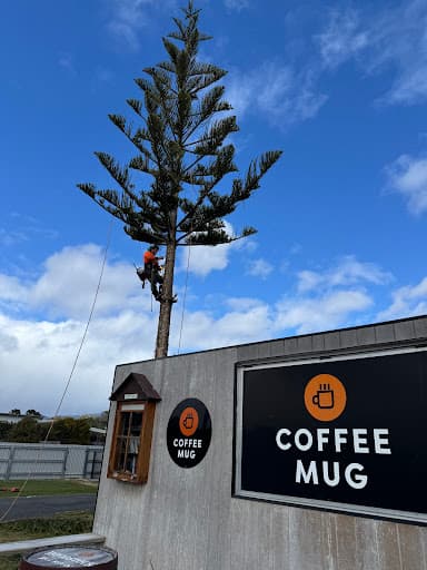 Tasmanian Arbor Care — Customer photo