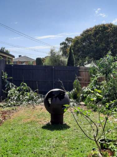 Victory Tree Care — Customer photo