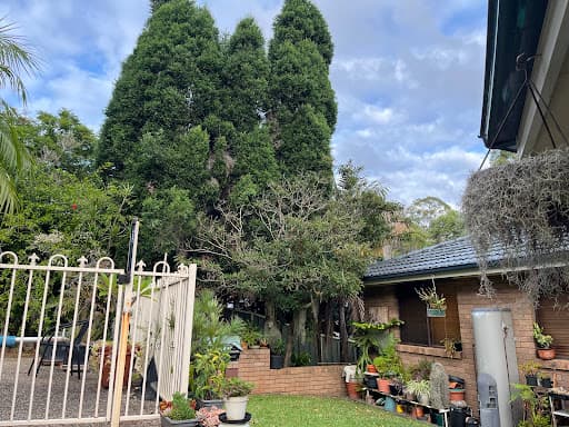 Touchwood Tree Services — Customer photo