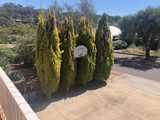 All Purpose Tree Services — Customer photo