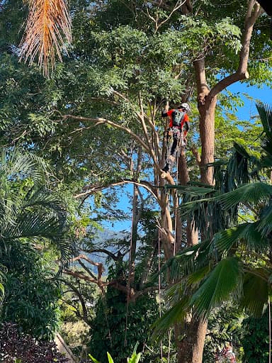 Tree Shepherd FNQ — Customer photo