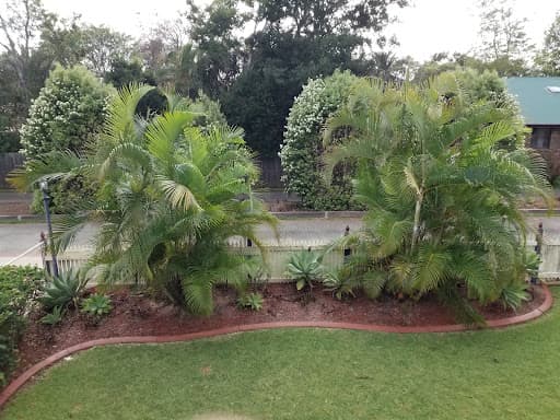 Acclaim Tree Care & Services — Customer photo