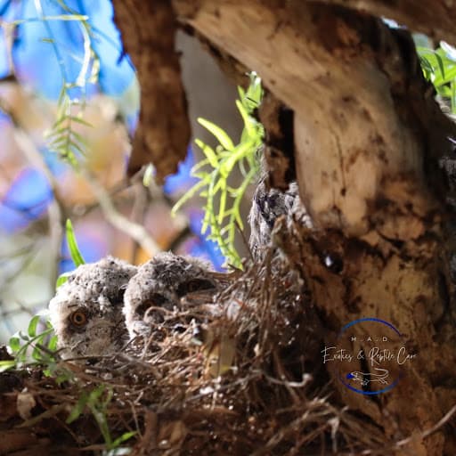 EJR Tree Services — Customer photo