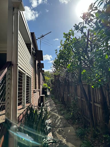 AA Tree Services Sydney — Customer photo