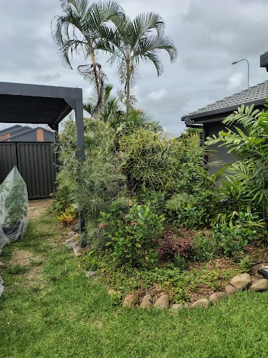 Frontier Tree Services — Customer photo