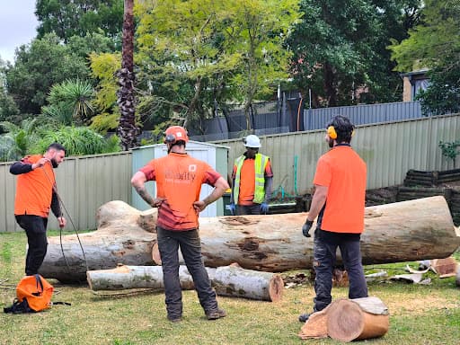 Priority Tree Services — Customer photo