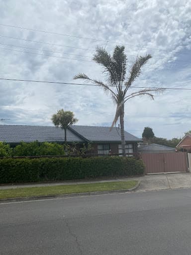 Victorian Tree Specialists — Customer photo