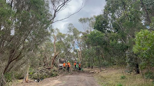 Ocean Road Tree Services — Customer photo