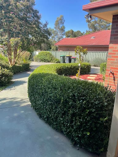 Cutting Edge Gardening — Customer photo