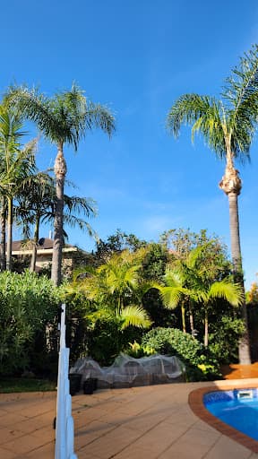 Coal Coast Tree Services Wollongong — Customer photo
