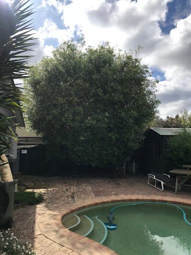Redback Tree Services — Customer photo