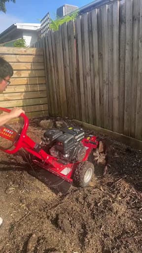 Stump Grinder Hire Australia — Customer photo