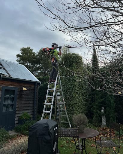 Tasmanian Tree Care — Customer photo