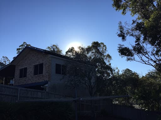 Brisbane Tree Experts — Customer photo