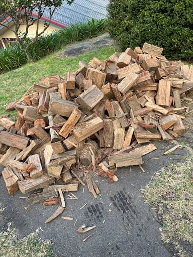 Shane's Trees — Customer photo