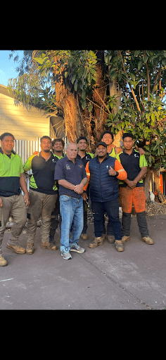 Dan & Rob Tree Specialists — Customer photo