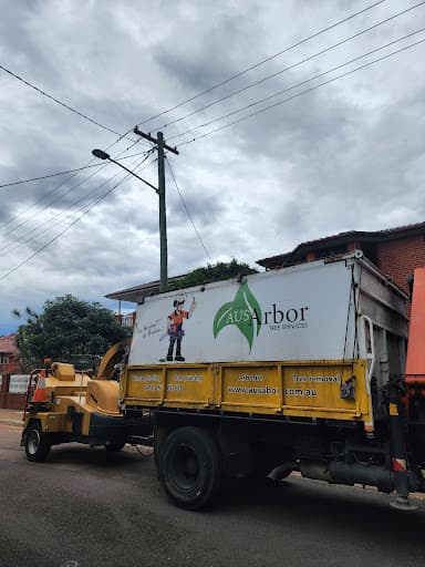 Aus Arbor Tree Services Sydney — Customer photo