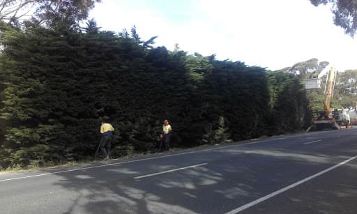 Austral Tree Services Pty Ltd (Depots in SA & VIC areas) — Customer photo