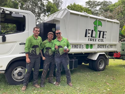Elite Tree Company — Customer photo