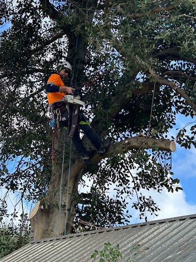 Arbortech Tree Services — Customer photo