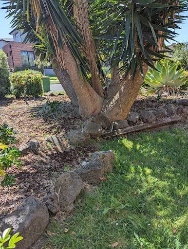 Redback Tree Services — Customer photo