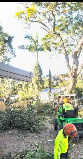 Eden Tree Service — Customer photo