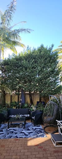AA Tree Services Sydney — Customer photo