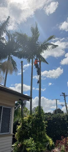Arborsafe Tree Services — Customer photo